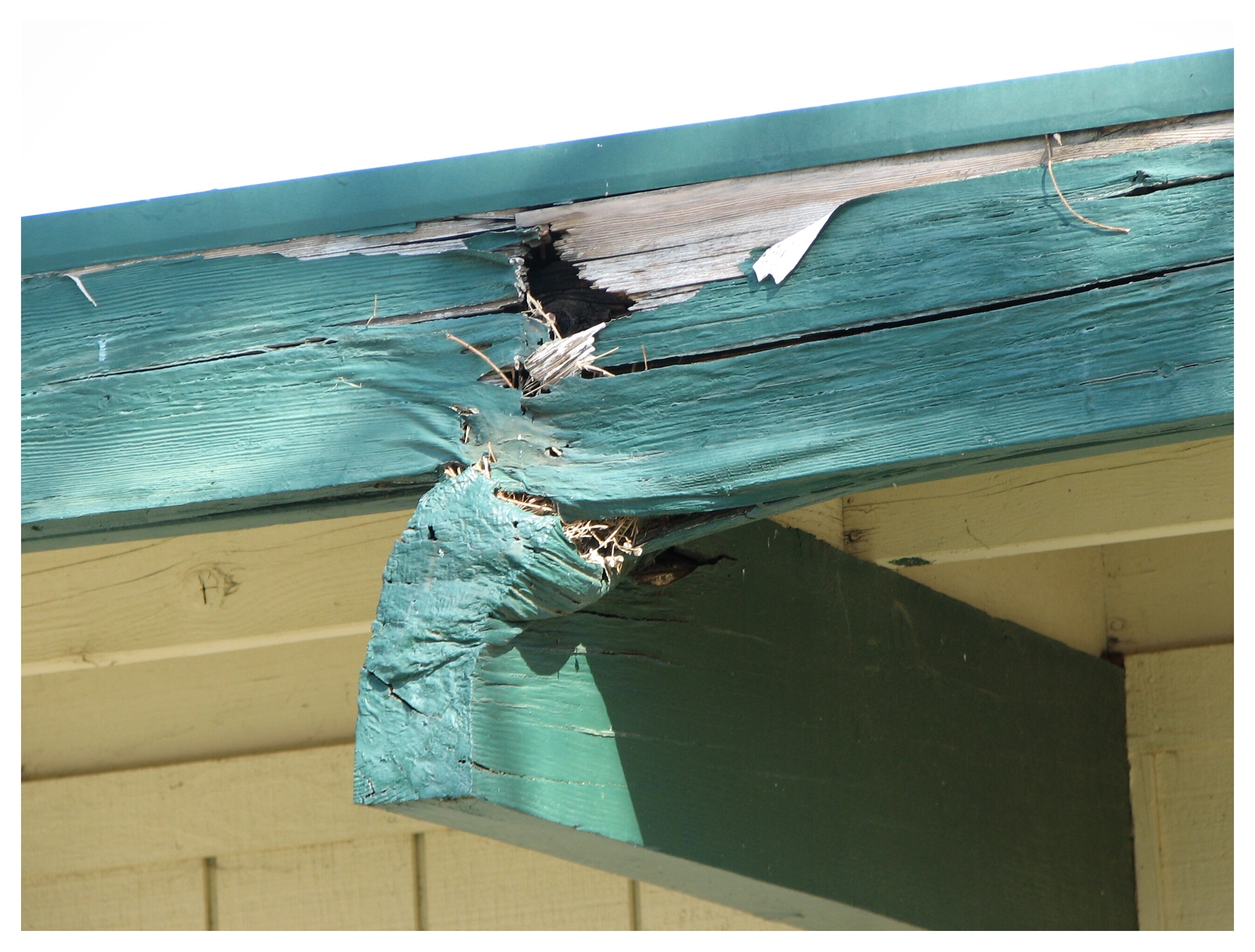 Dry Rot Induced Roof Beam Crush